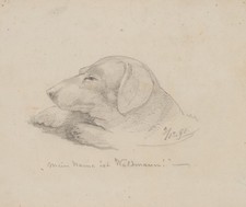 Dackel "Waldmann",  1861