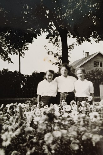 Drei frauen stehen arm - in,