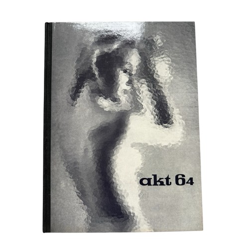 Akt buch nudes - 64,