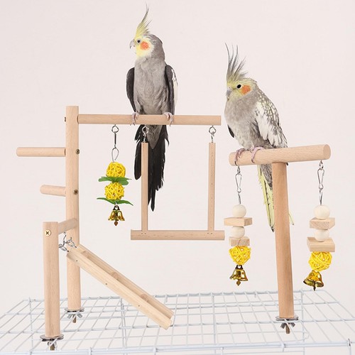Papagei spielplatz - papagei,