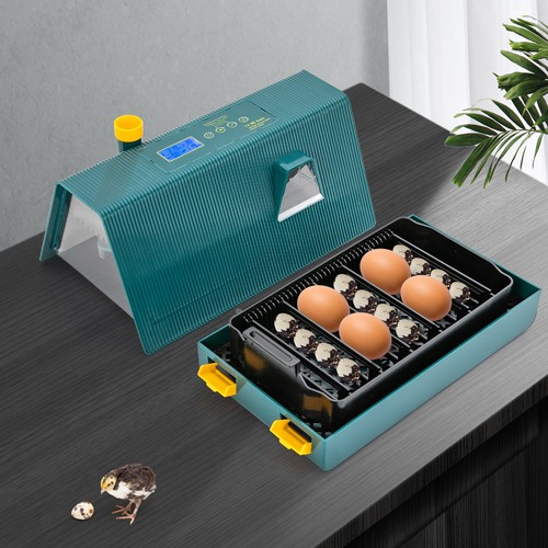 Eier brutautomat - x, eier brutautomat