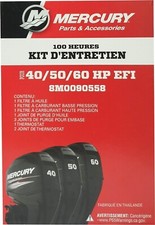 Mercury 60ps efi - mercury,