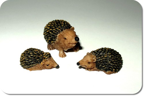 Miniatur igel familie - miniatur, igel-familie