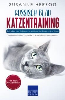Russisch blau katzentraining - russisch,