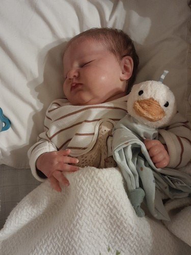 Reborn puppe quinlyn bonnie - quinlyn, by