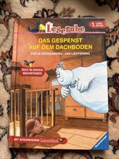 Leserabe 1. Lesestufe - DAS GESPENST AUF DEM DACHBODEN