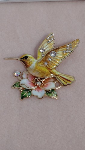 Schmuck brosche kolibri - kolibri, vogel