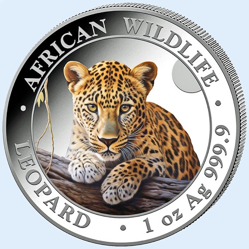 Somalia 100 2025 leopard - 2025,