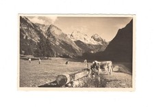 Ansichtskarte Im Oytal bei