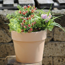 Tontöpfe,Pflanztöpfe,Anzuchttöpfe,Terracotta antik hell,5 Größen,deutsche Ware