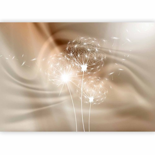 Pusteblume blumen abstrakt - blumen,