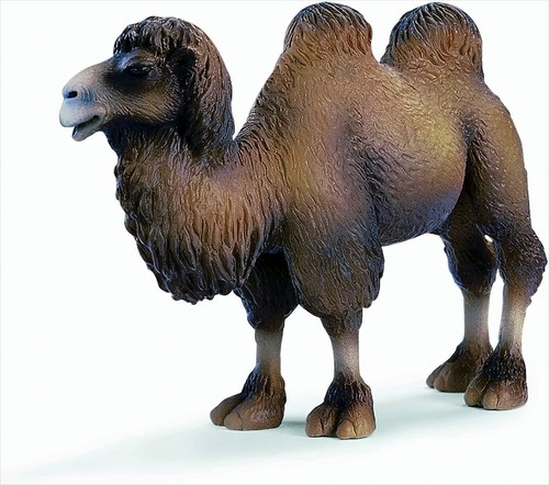 Schleich 14348 trampeltier - schleich,