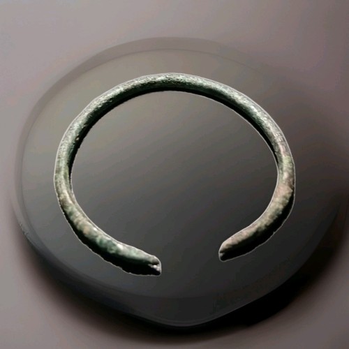 Wikinger armreif einer aus - wikinger,