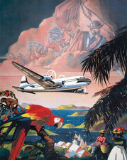 Papagei & Flugzeug Wandkunst -