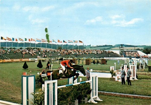 Reitsport pferdesport - reitsport,