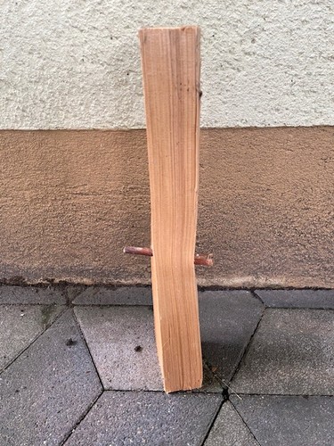 Ast holz deko diy - ast,