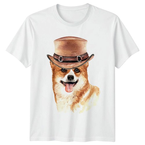 Corgi hund zylinder - zylinder, tiere
