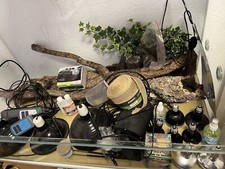 Terrarium + Zubehör Komplett, Auch Einzeln Erhältlich!
