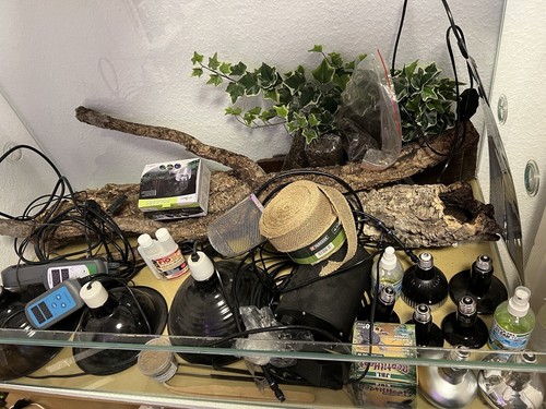 Terrarium zubehör komplett - +,