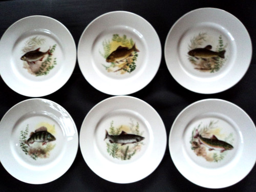 Fischteller aus porzellan - ,