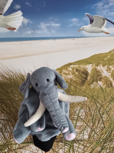 Handpuppe elefant - handpuppe,