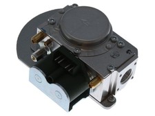 Glühwürmchen 0020018823