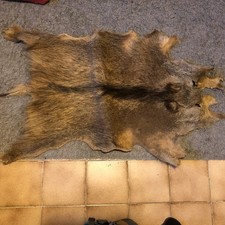Wildschweinfell Tierfell