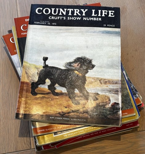 1940 1980 s country life - 1940's, 1980's