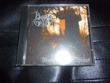 BURDEN OF GRIEF - Above