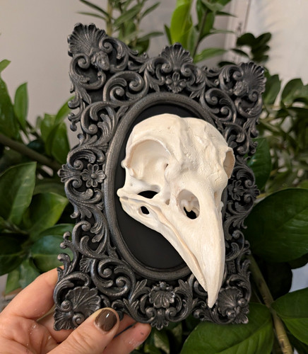 Gothic rabenschädel wanddeko - gothic,