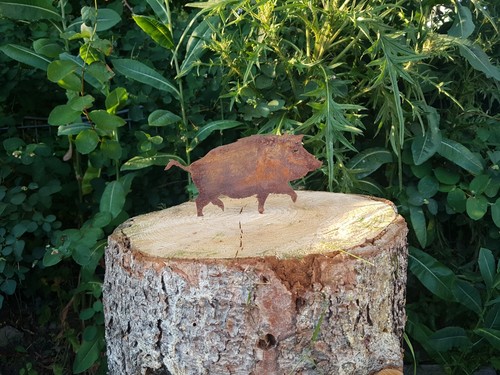 Wildschwein mit schraube zur - wildschwein,