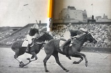 Polo 1960 Pferd Reiter Spieler Holz Ball Kugel Rasenspiel Sport Stock Spiel 1399