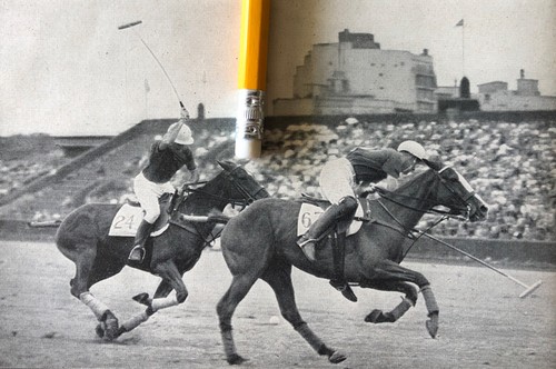 Polo 1960 pferd reiter spieler - pferd,