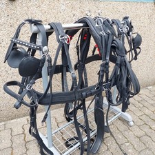 Top  Leder Zweispänner