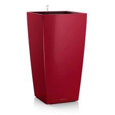Cubico premium scarlet rot - scarlet,