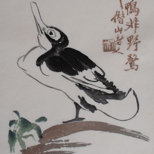 Baishi ente tierdarstellung - baishi,