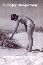 D5031 Original - Negative