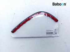 Koffer (Seitenkoffer) Links