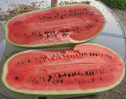Wassermelone charleston gray - wassermelone,