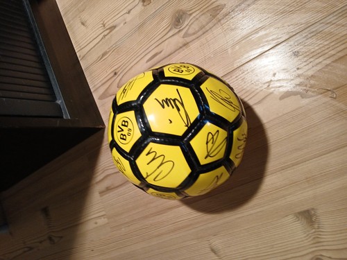 Bvb ball mit unterschriften - ball,