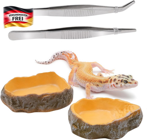 Reptilien wasserschale set mit - reptilien,