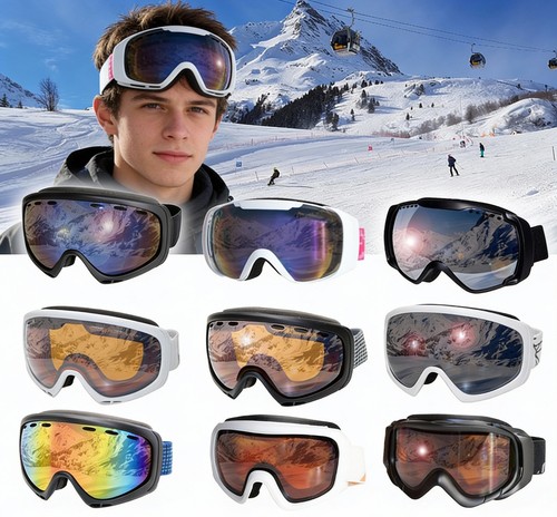 Skibrille alpin auswahl herren - skibrille,