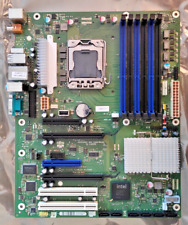 NEU - Fujitsu D2778-C14 GS 3 -