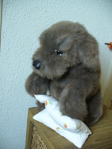 Sitzender hund von folkmanis - sitzender,