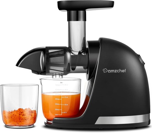 Entsafter gemüse obst slow - entsafter,