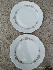 9 flache Teller Eschenbach