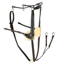 Rhinegold Leder 5 Punkt