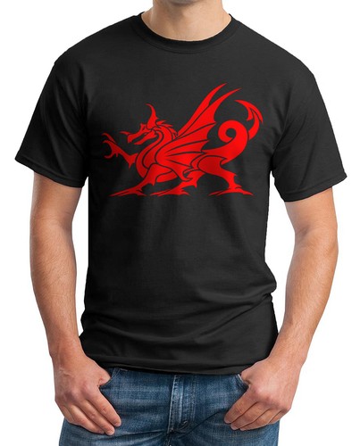 Welsh dragon shirt - t-shirt,