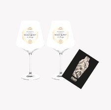 Scavi & Ray ICE Glas NEU 2er