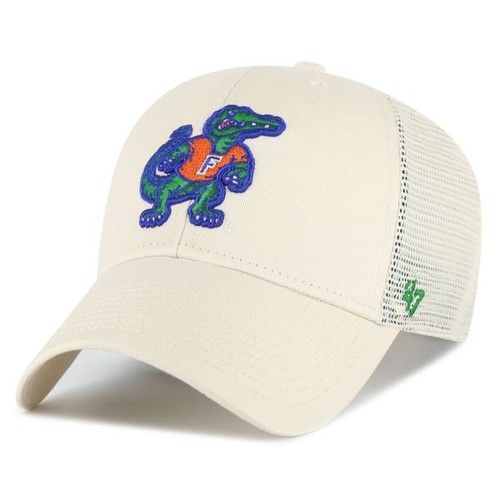 Florida gators cap - gators,